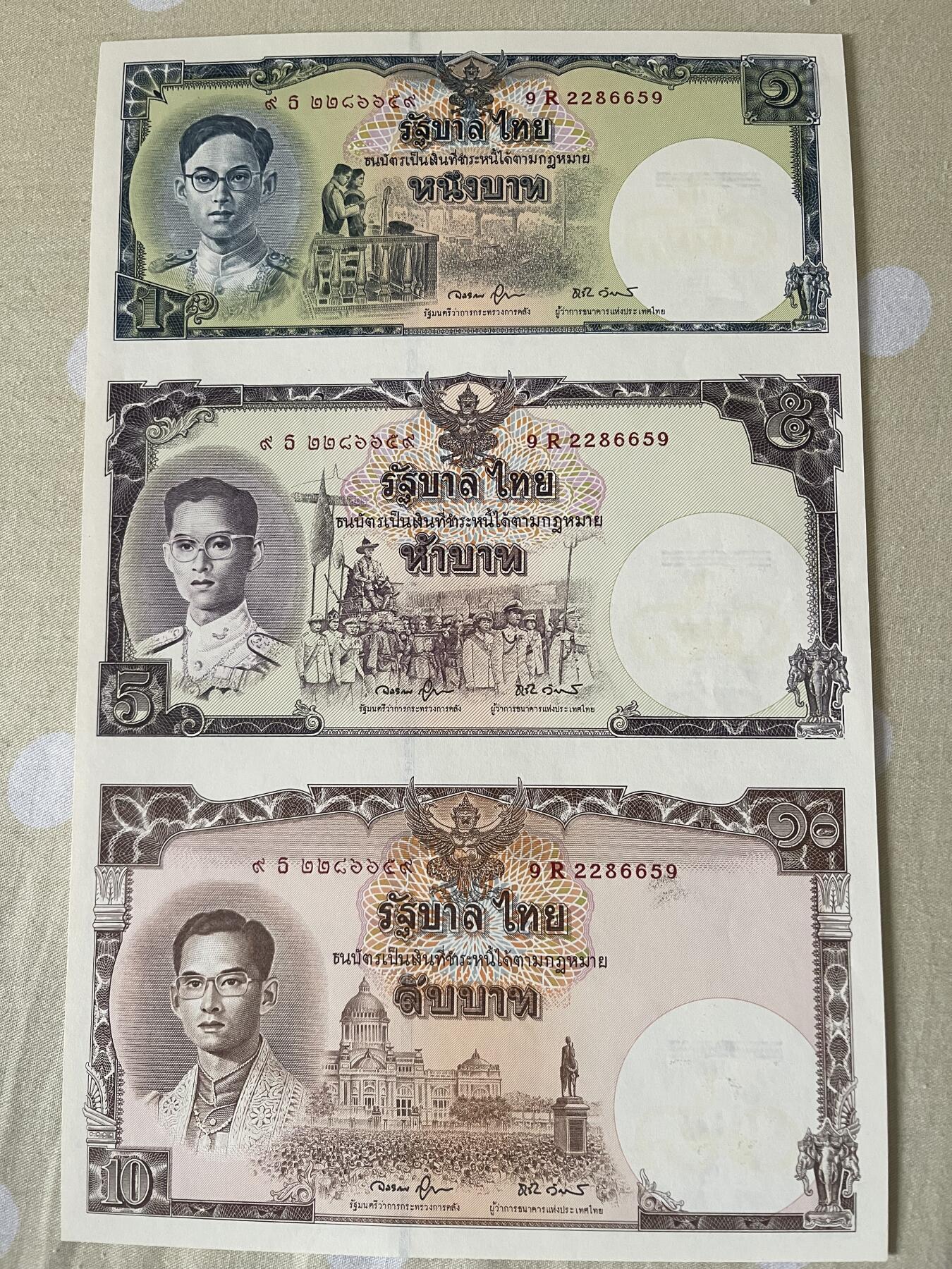 思温藏品团购专场(166】