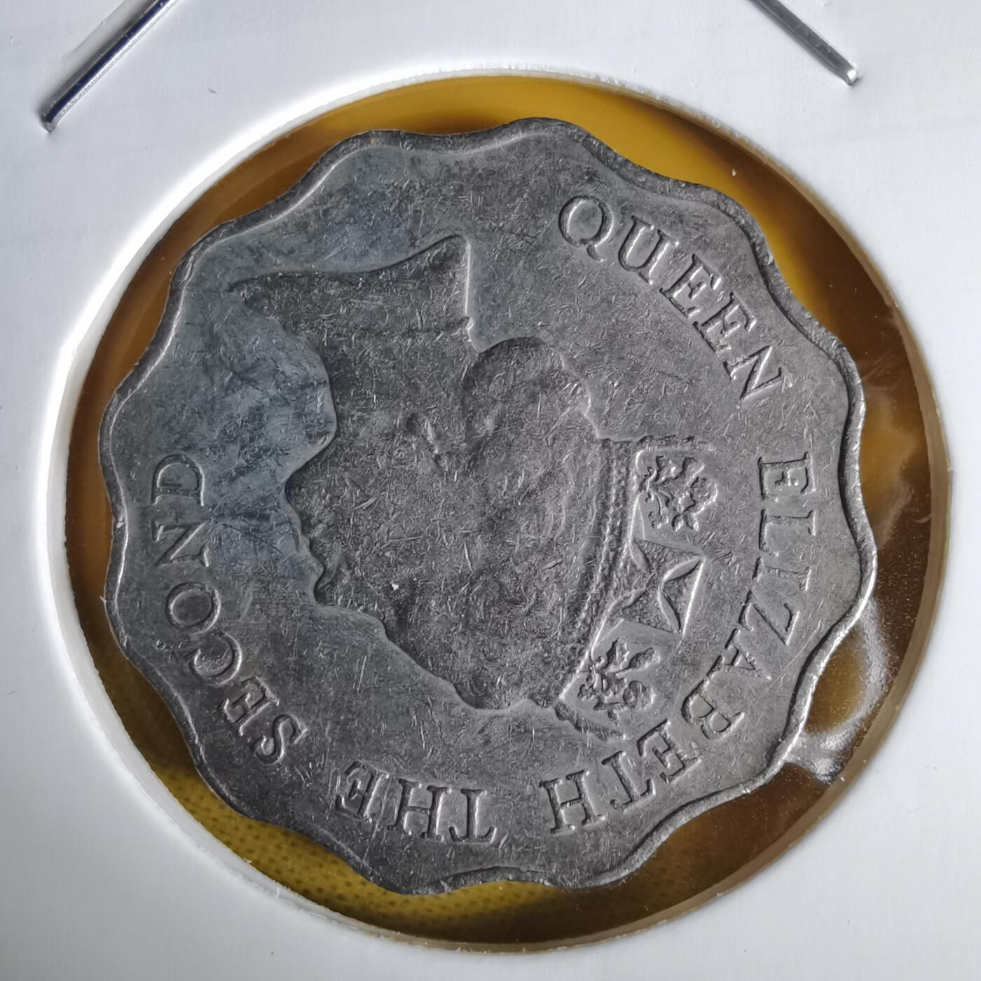 沼泽如烟--第1064场