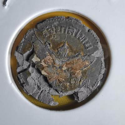 沼泽如烟--第1064场 泰国