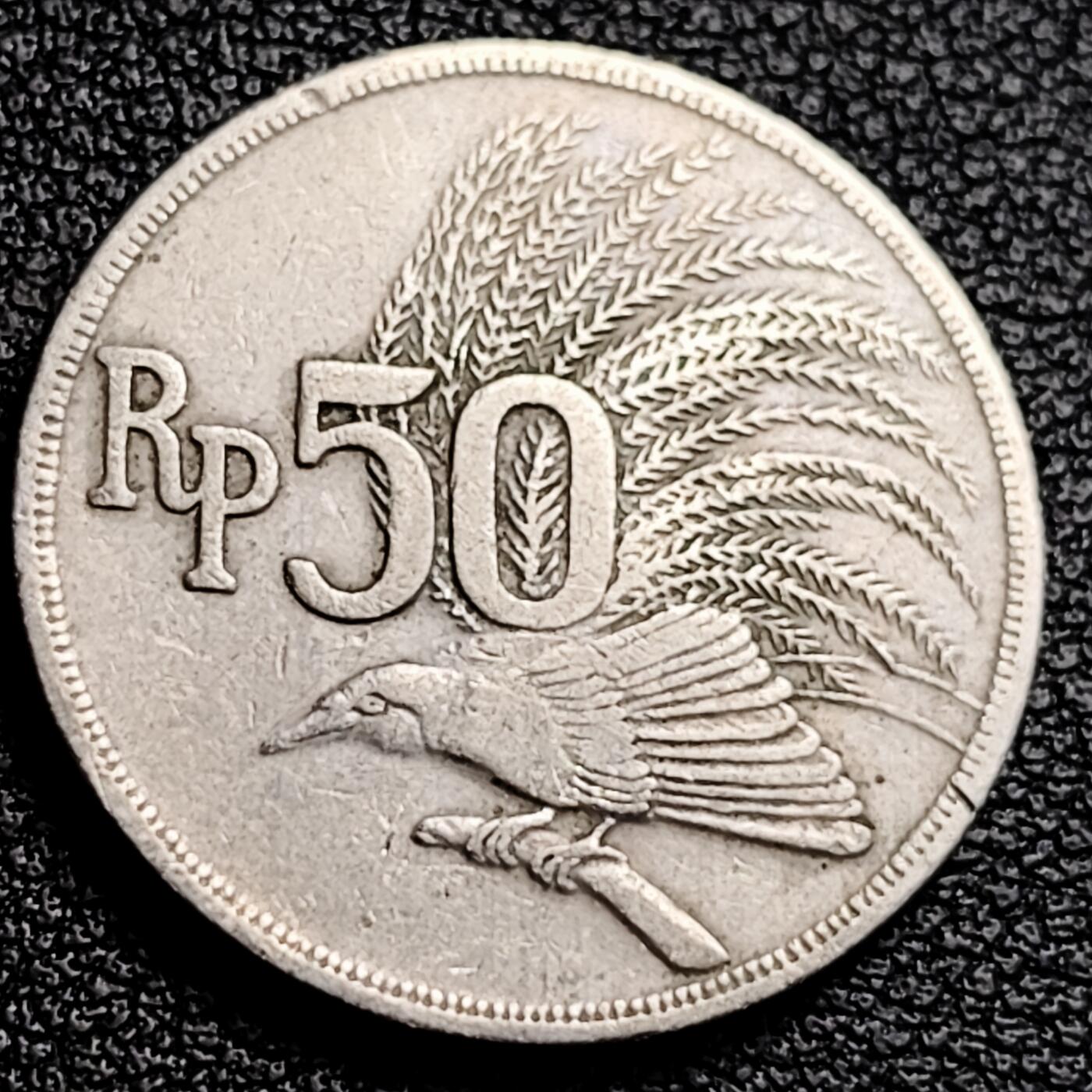 泉币菌-第231场-拍品多 请提前出价