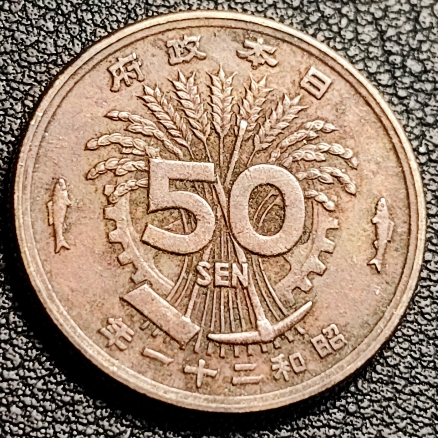 泉币菌-第231场-拍品多 请提前出价