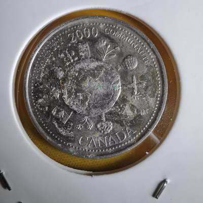 沼泽如烟--第1064场 加拿大2000年25分纪念币