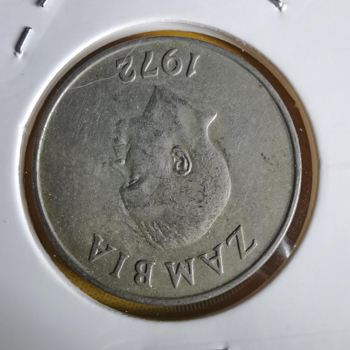 沼泽如烟--第1064场