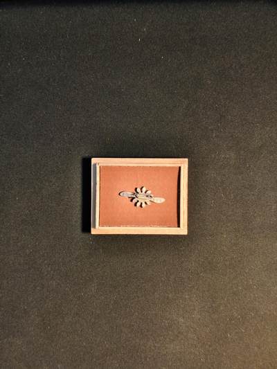 东亚欧洲主题杂货徽章勋章拍卖⑩ （五一大拍350+） 大日本飞行协会赞助会员章