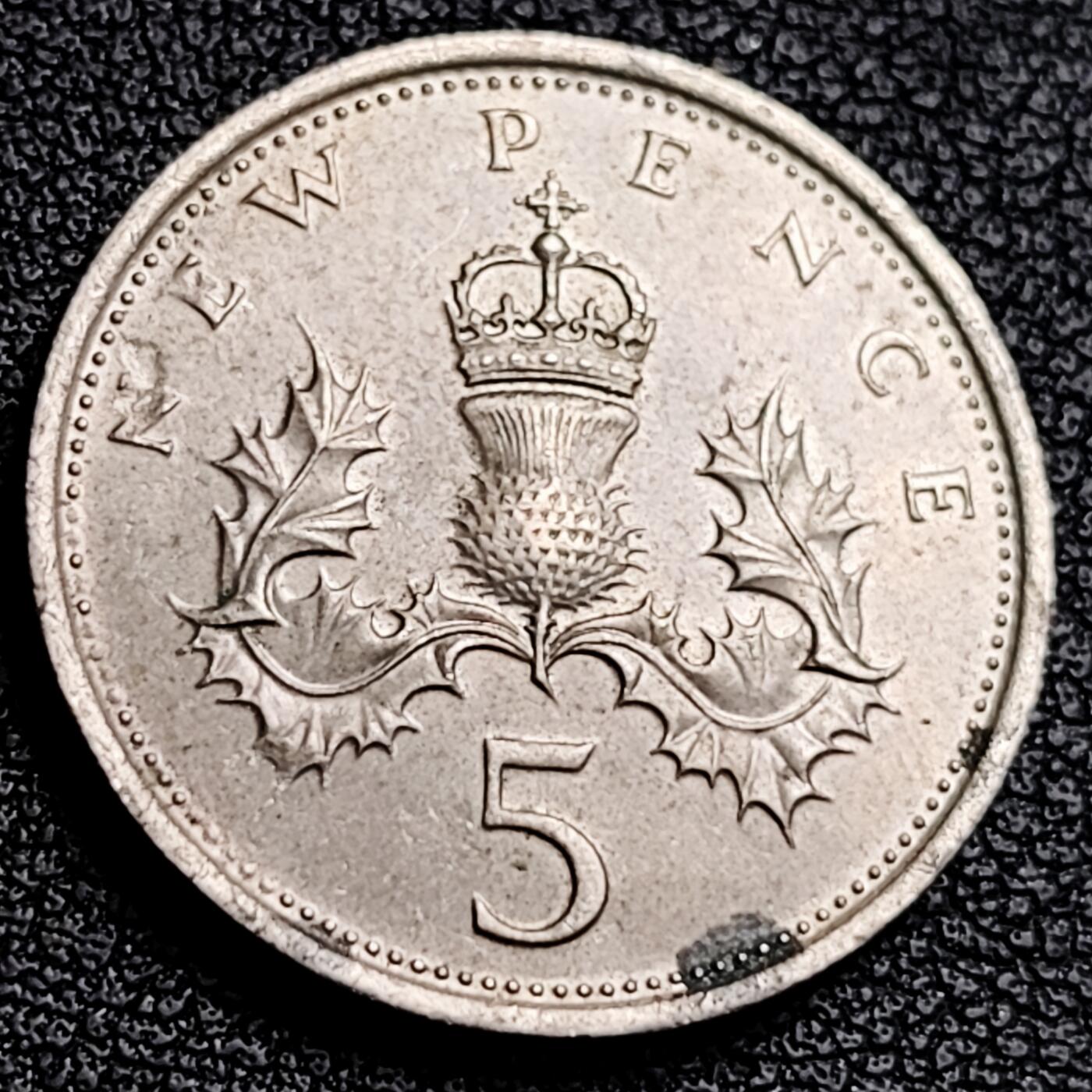 泉币菌-第231场-拍品多 请提前出价