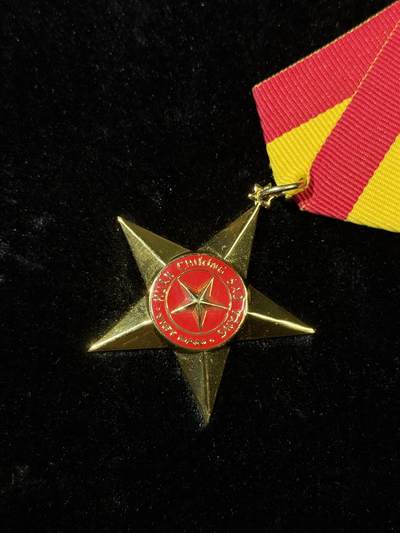 戎马世界章牌大赏第115期 越南英雄金星奖章，大金星，最新版