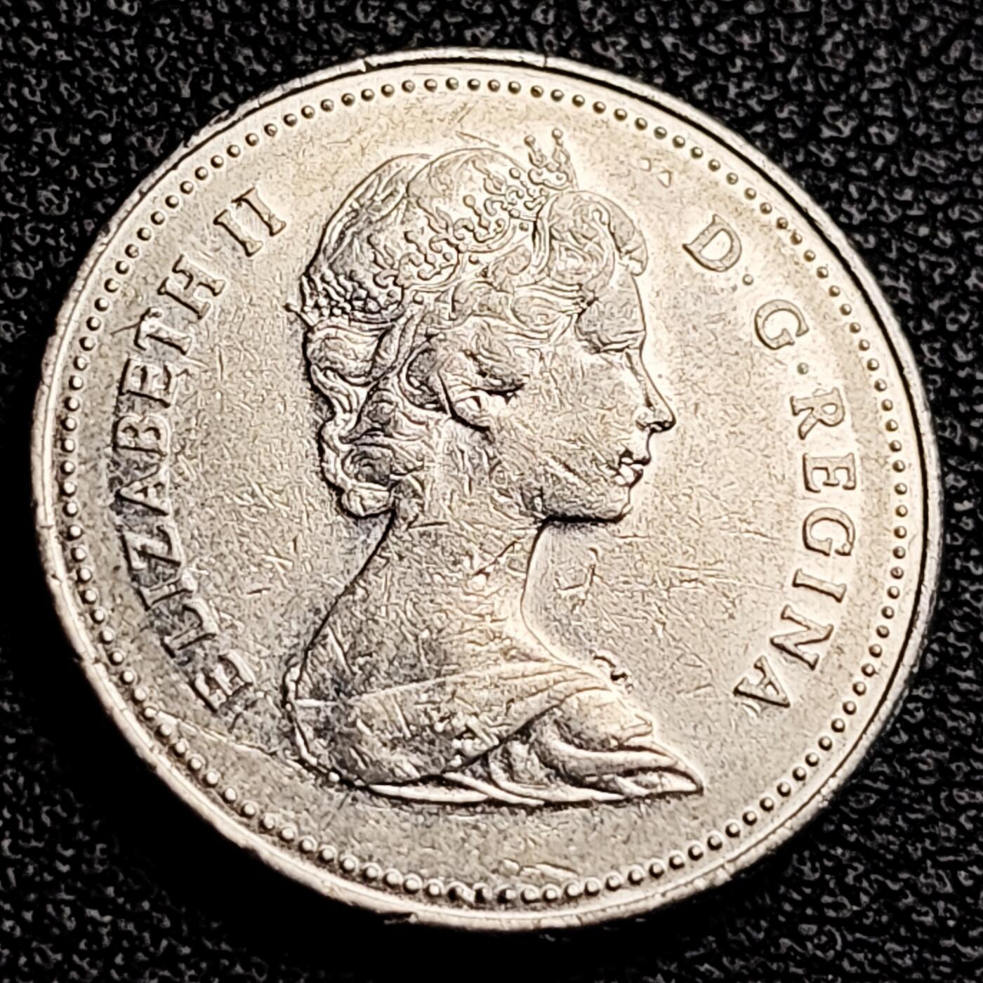 泉币菌-第231场-拍品多 请提前出价