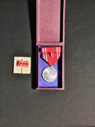 东亚欧洲主题杂货徽章勋章拍卖⑩ （五一大拍350+） 赤十字男正社员代品章