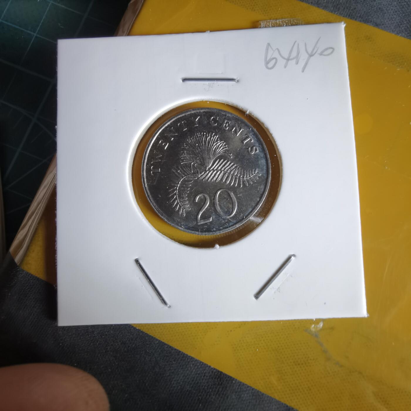 沼泽如烟--第1064场