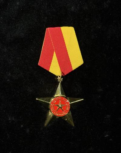 戎马世界章牌大赏第115期 越南英雄金星奖章，大金星，最新版