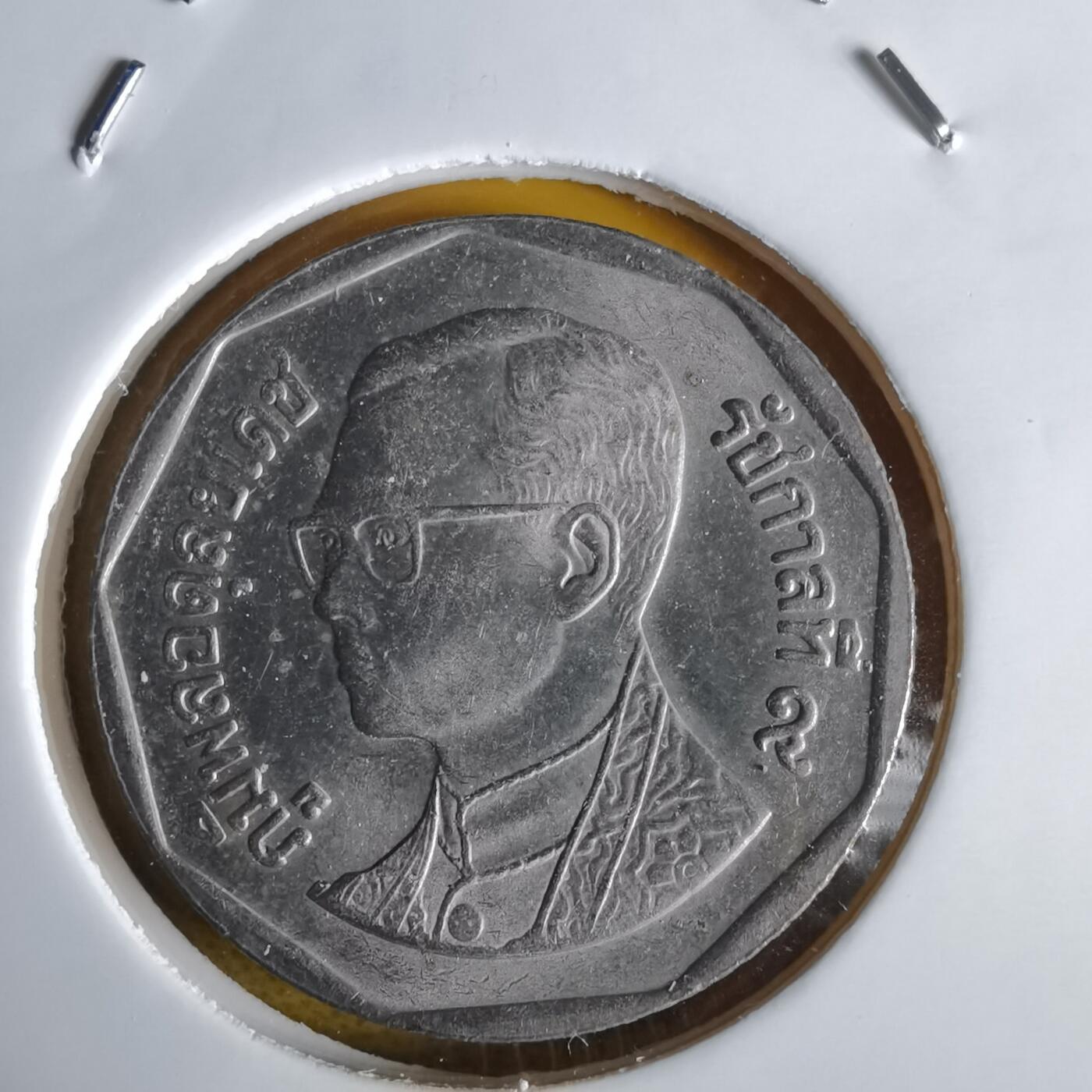 沼泽如烟--第1064场