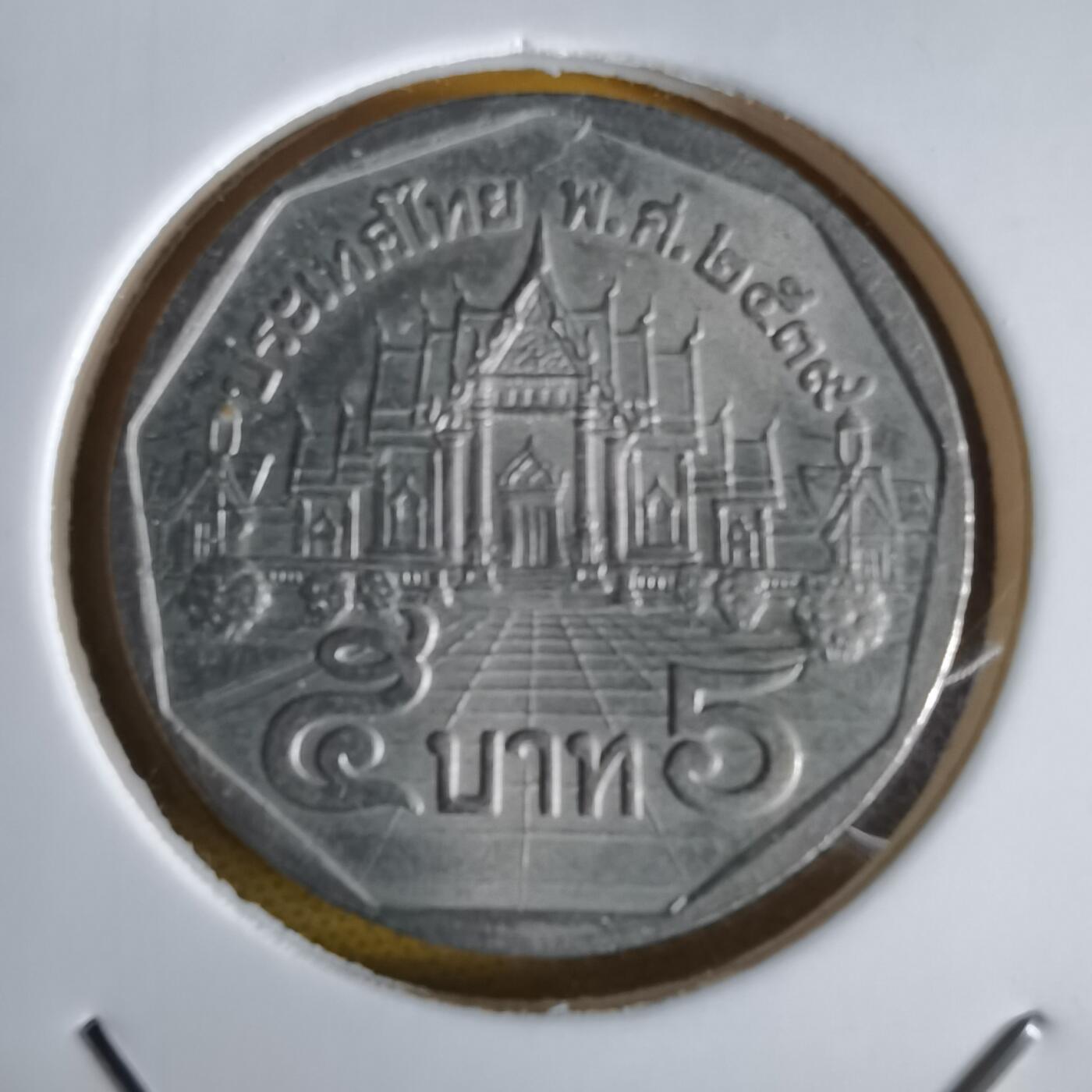 沼泽如烟--第1064场