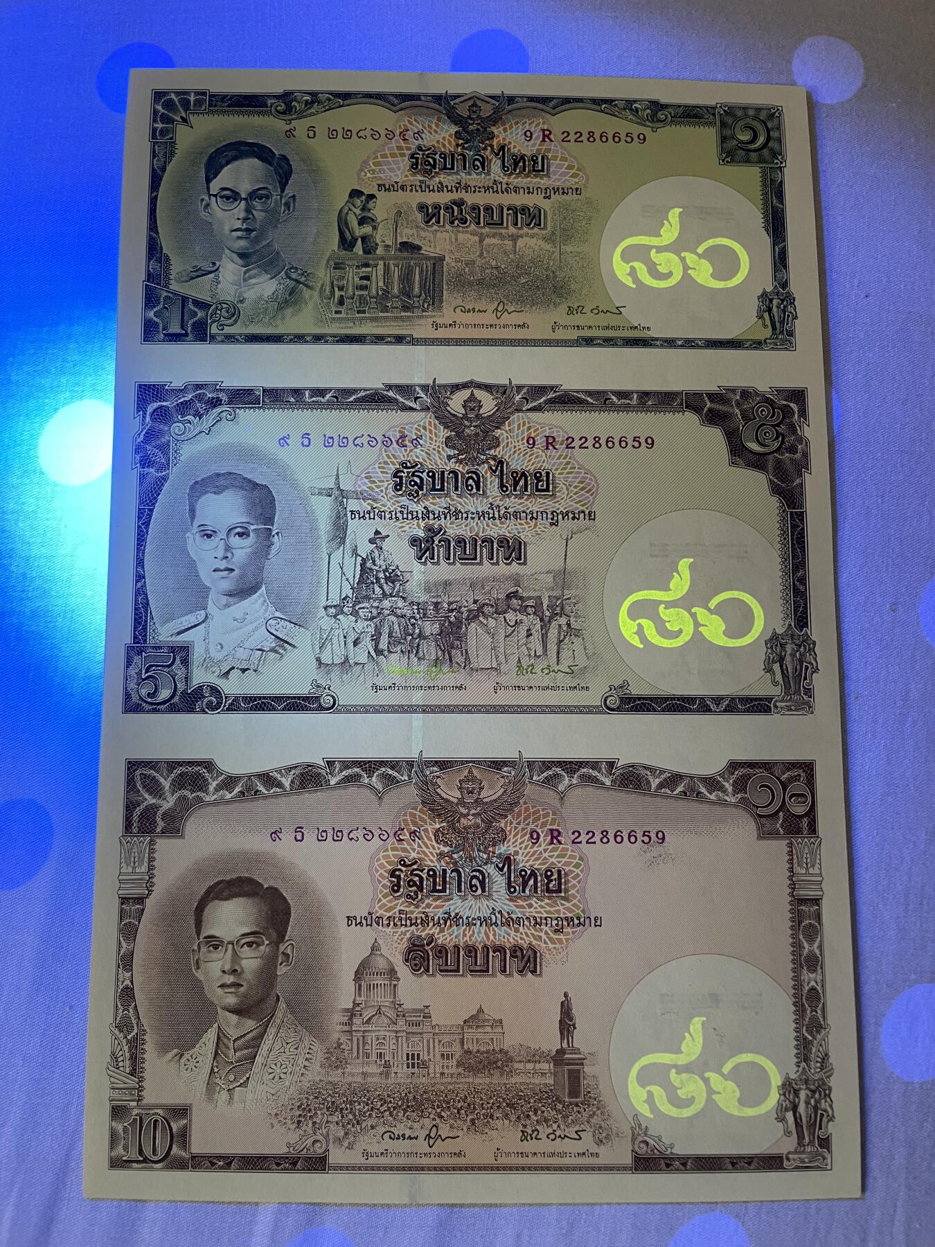 思温藏品团购专场(166】