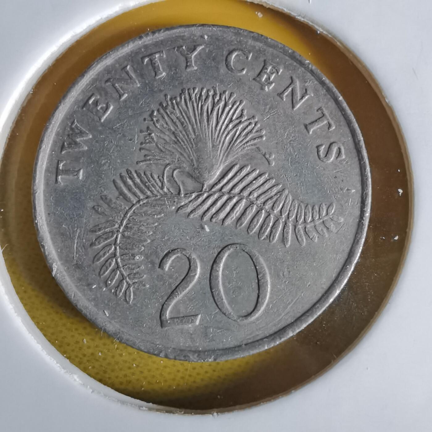 沼泽如烟--第1064场