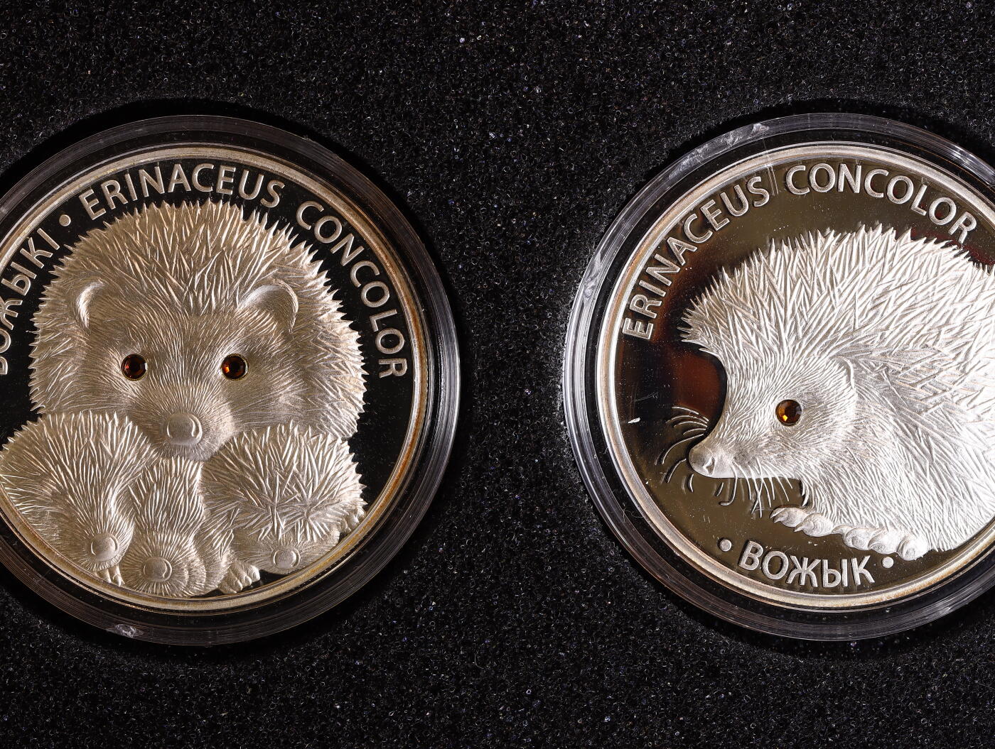 观钱 近现代机制币拍卖No.009（全场顺丰包邮，不区分偏远地区）  白俄罗斯 2011 年 “刺猬系列” 20 卢布精制银币（一对：刺猬一家亲 + 单只刺猬），925 纯银精制币，单枚重量 1 盎司（约 31.1 克 x2）共2盎司银，直径 33mm，镜面底板与喷砂浮雕工艺，眼睛为镶嵌水晶。生动可爱，白俄罗斯国家银行发行的 “野生动物保护” 系列纪念币，以欧洲刺猬为主题，是该系列中最受欢迎的品种之一，曾获得国际硬币设计奖项提名。原盒带证书