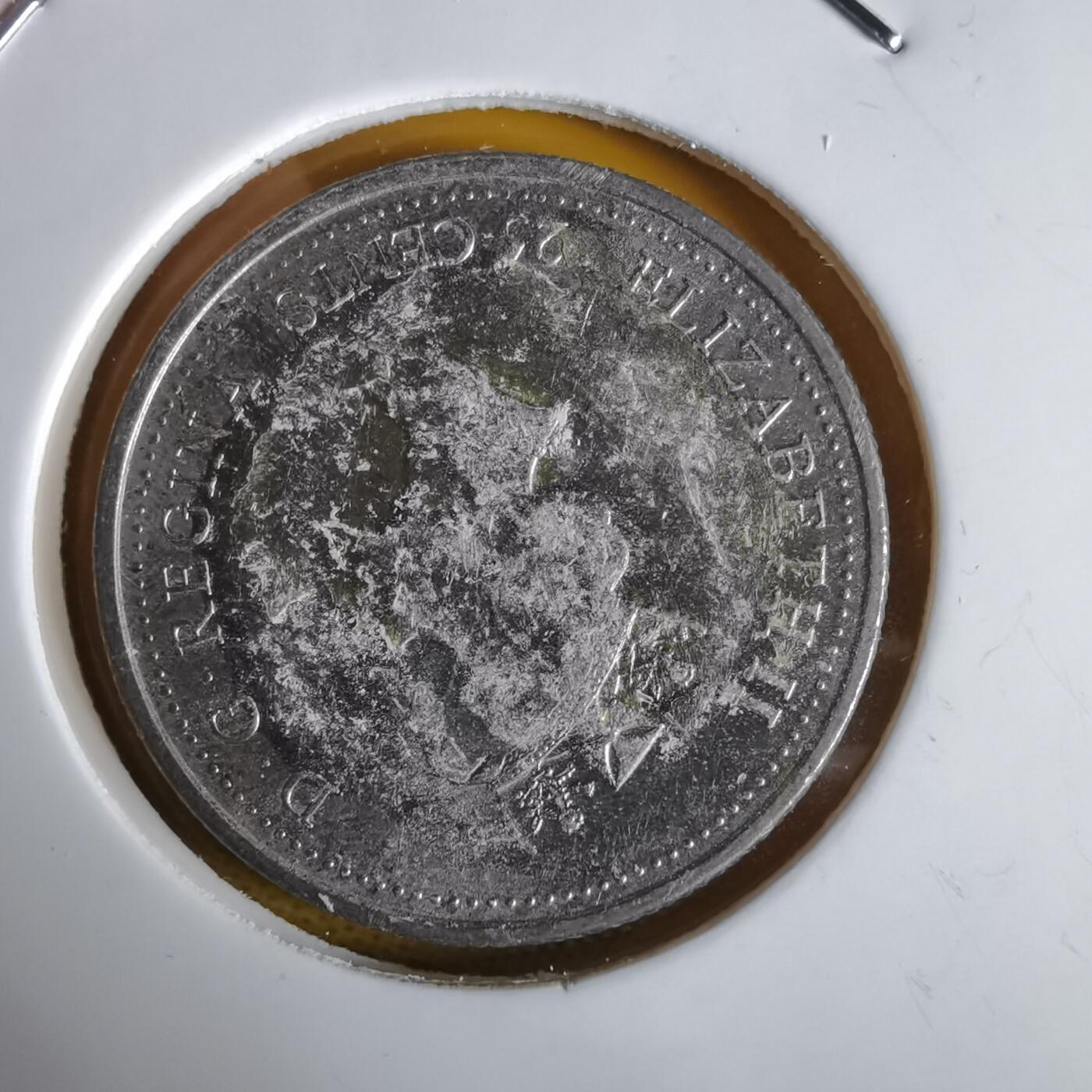 沼泽如烟--第1064场