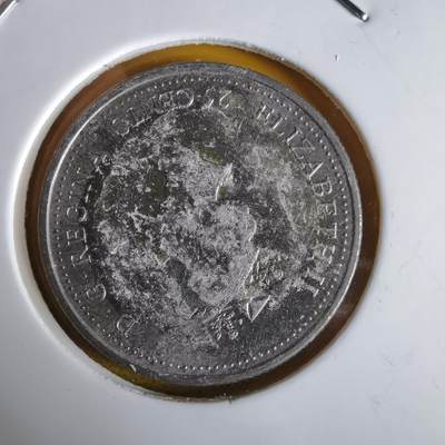 沼泽如烟--第1064场 加拿大2000年25分纪念币