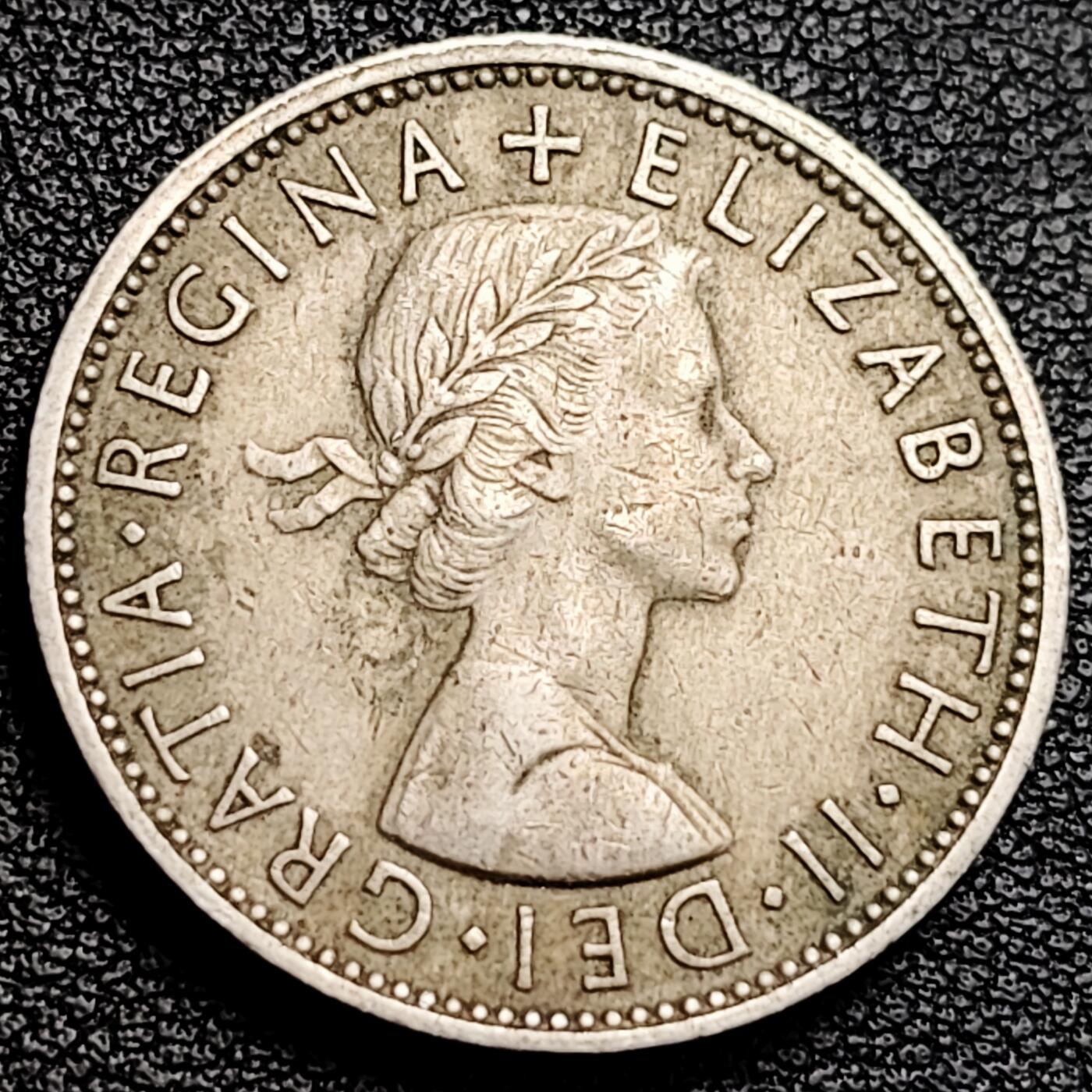 泉币菌-第231场-拍品多 请提前出价