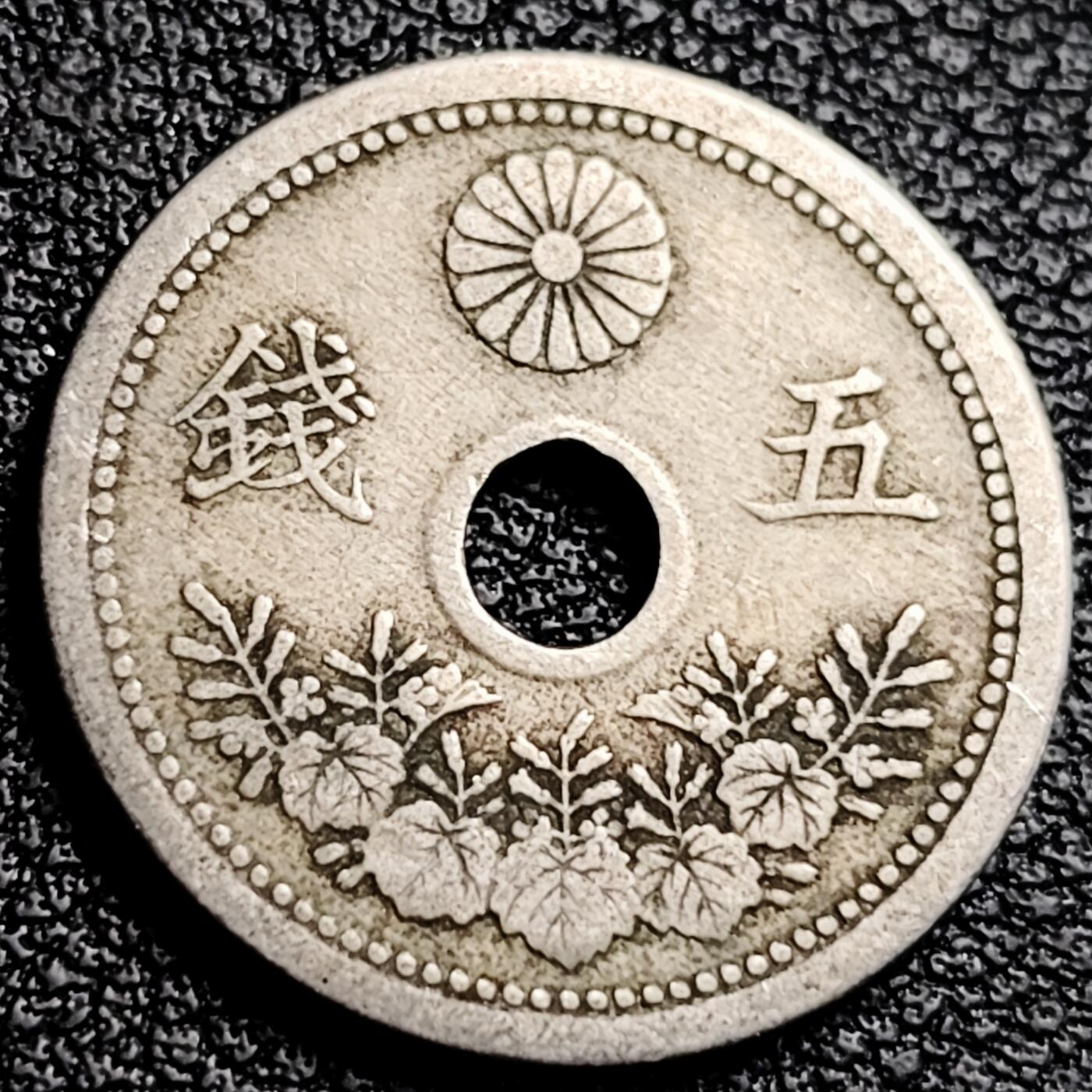 泉币菌-第231场-拍品多 请提前出价