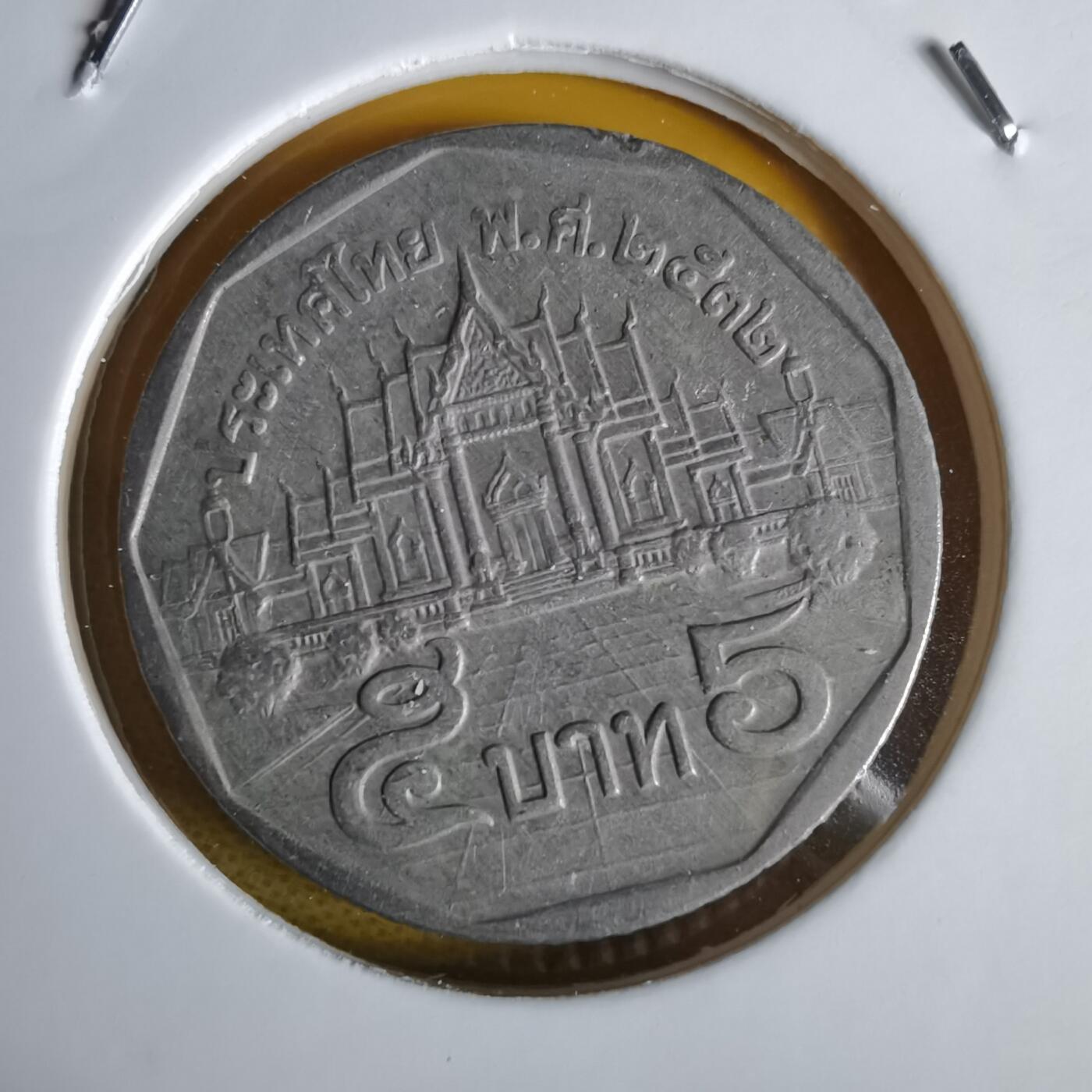 沼泽如烟--第1064场