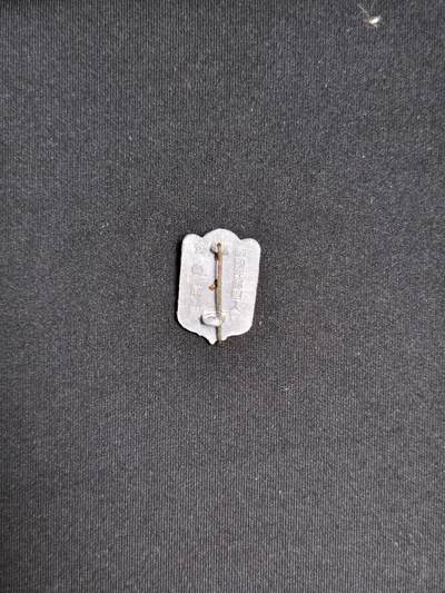 东亚欧洲主题杂货徽章勋章拍卖⑩ （五一大拍350+） 帝国在想乡军人会会员章（少见带原纸盒）