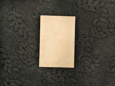 东亚欧洲主题杂货徽章勋章拍卖⑩ （五一大拍350+） 日本帝国应走之路 宣传刊物 （勿忘国耻）