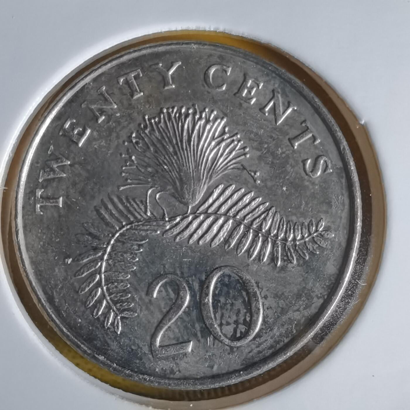 沼泽如烟--第1064场