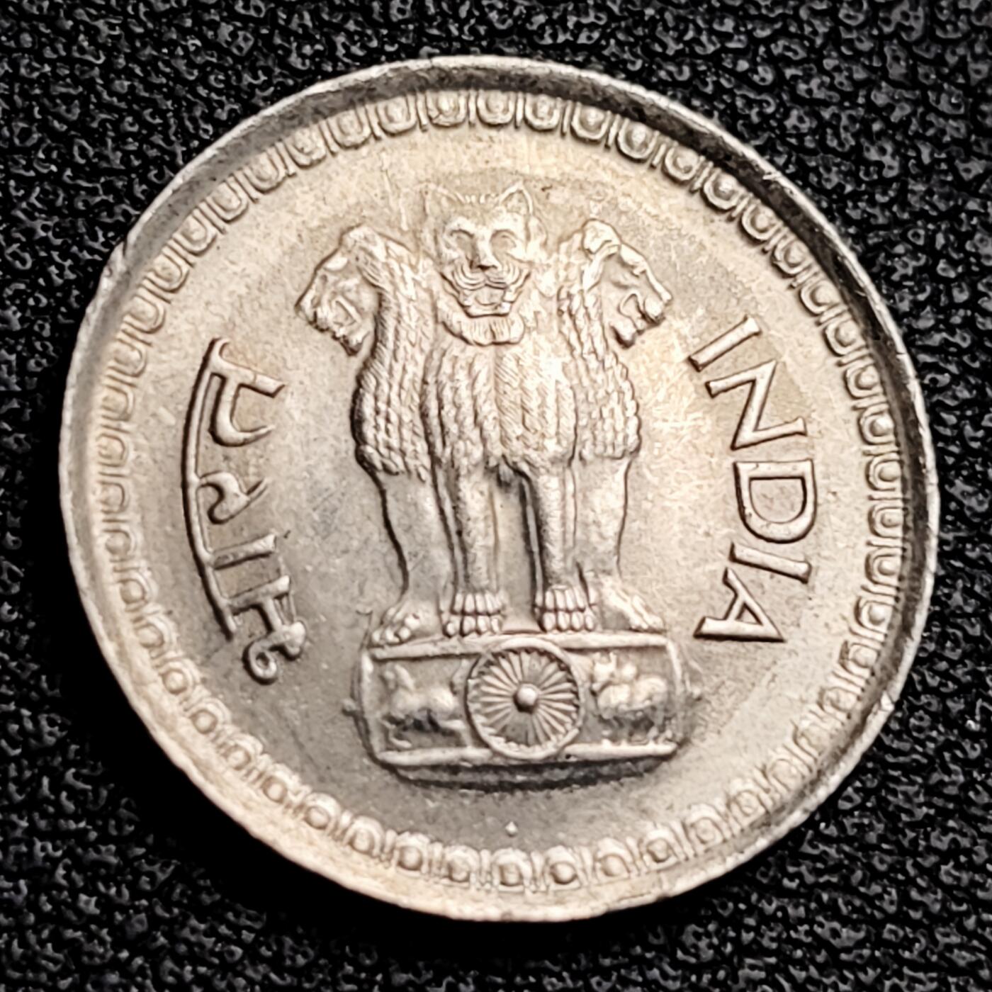 泉币菌-第231场-拍品多 请提前出价