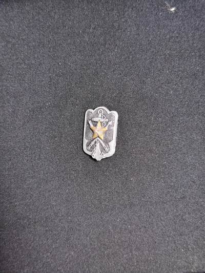 东亚欧洲主题杂货徽章勋章拍卖⑩ （五一大拍350+） 帝国在想乡军人会会员章（少见带原纸盒）