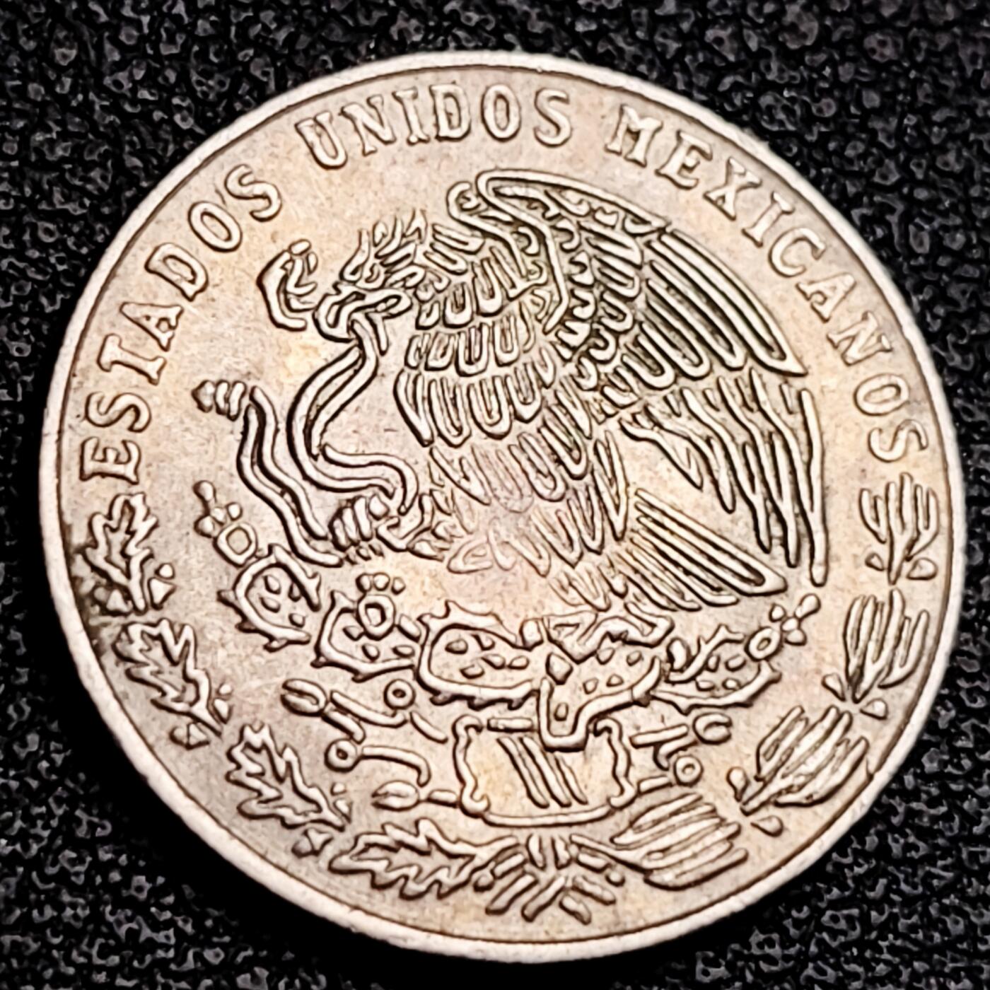 泉币菌-第231场-拍品多 请提前出价