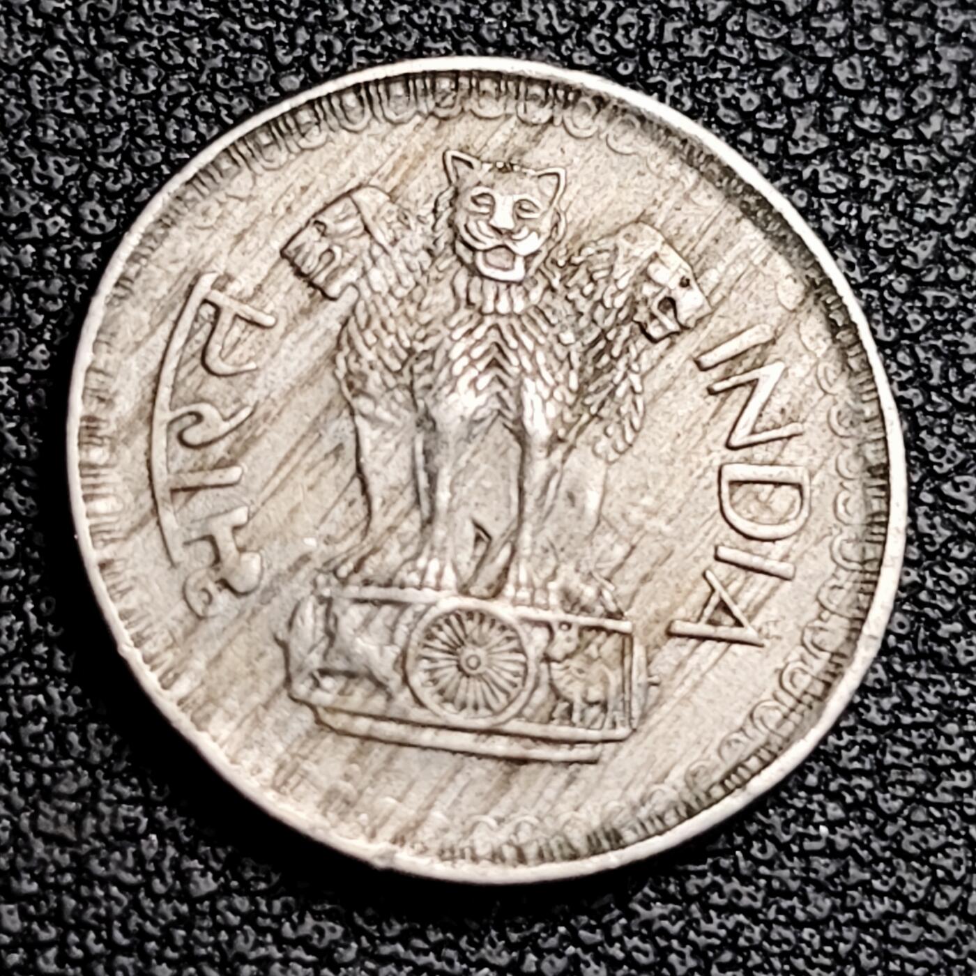 泉币菌-第231场-拍品多 请提前出价