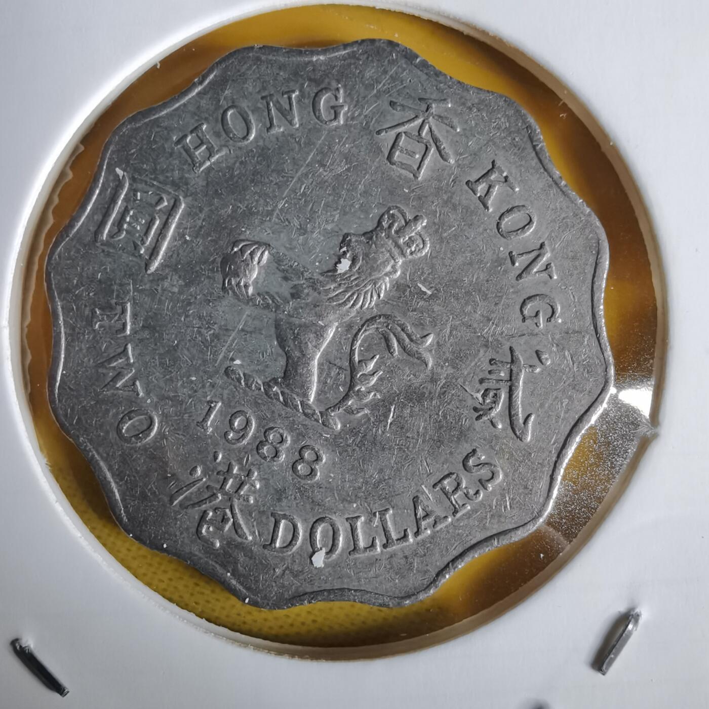 沼泽如烟--第1064场