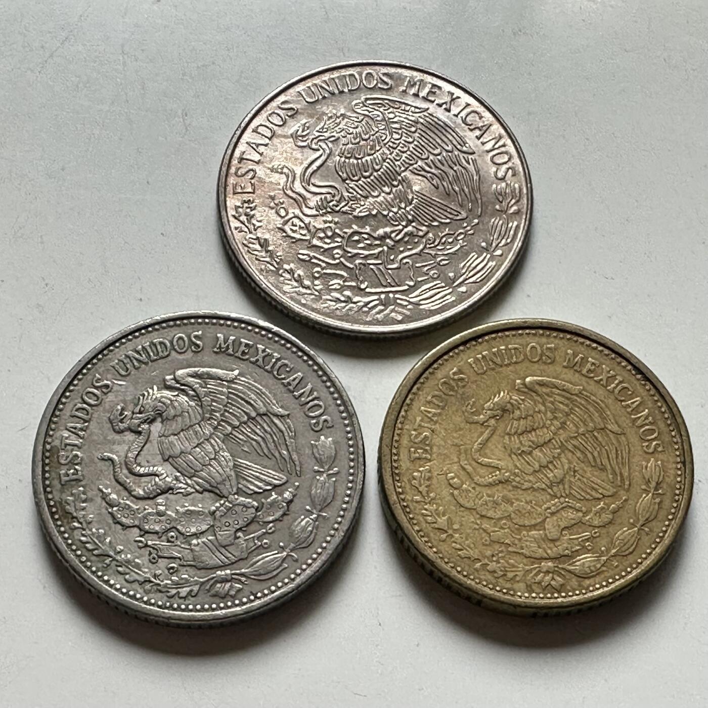 🌹外币初藏🌹🐯2026年第45场   每周二四六晚8️⃣点  世界硬币