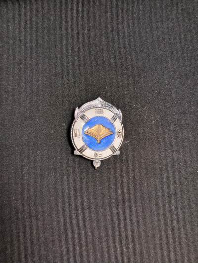 东亚欧洲主题杂货徽章勋章拍卖⑩ （五一大拍350+） 帝国水难救济会特别会员章