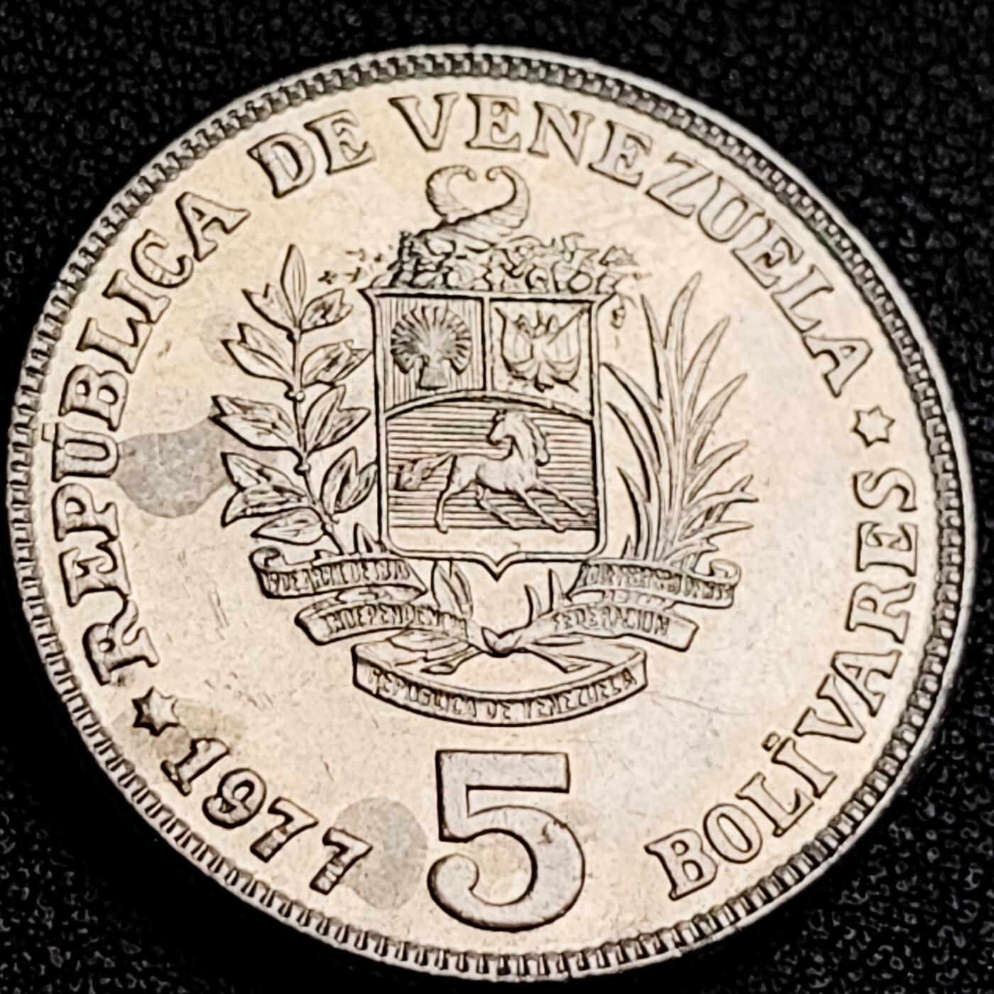 泉币菌-第231场-拍品多 请提前出价