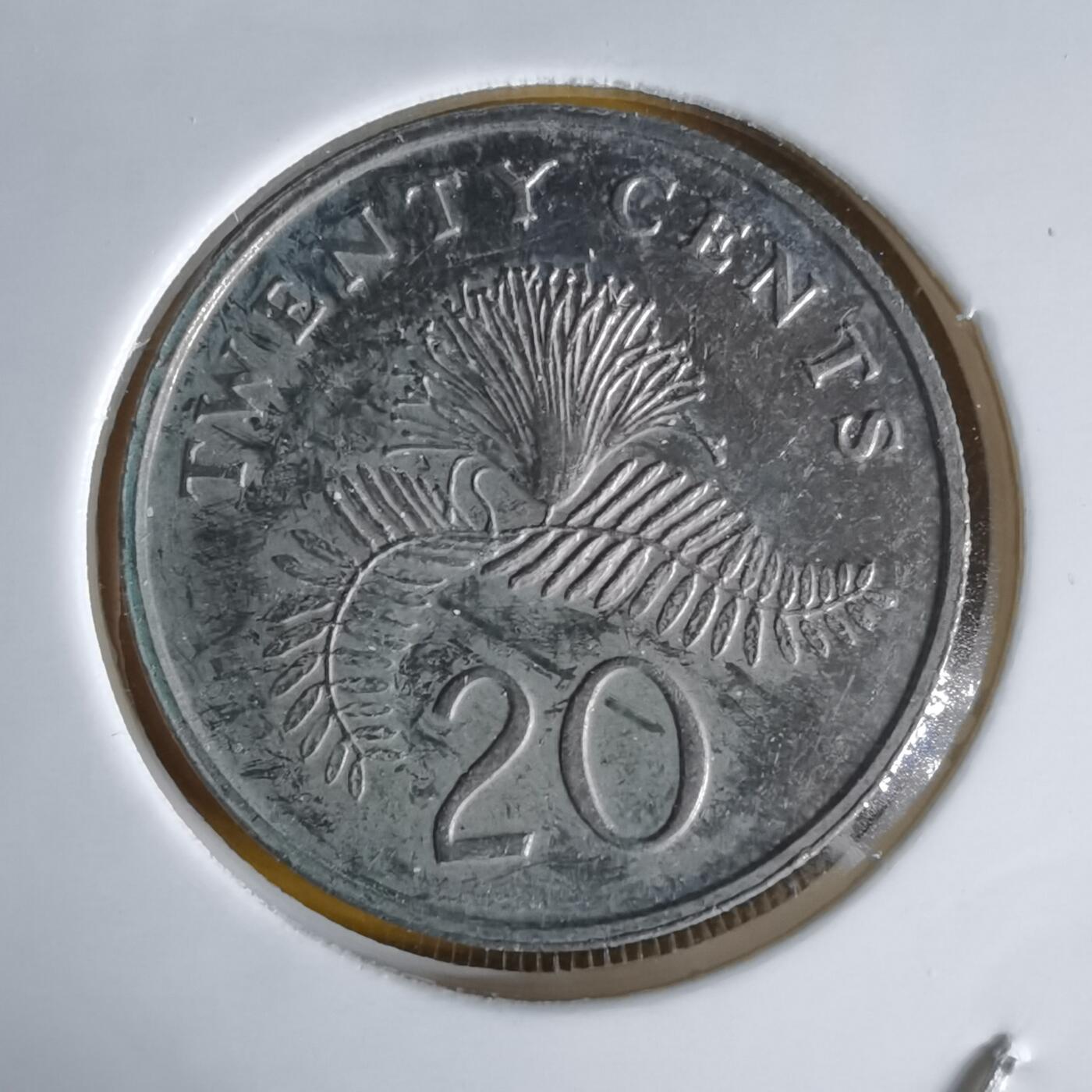 沼泽如烟--第1064场