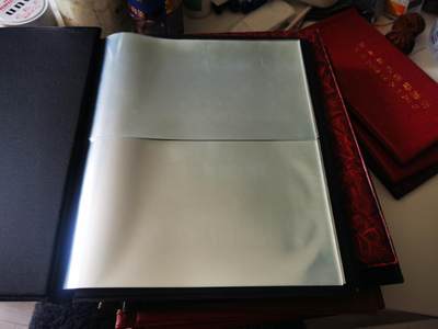 零零发流通品外国纸币拍卖 无佣金 紫罗兰钱币收藏册11本，8本每册双联可装40张的还有3本单联装20张的。都使用过