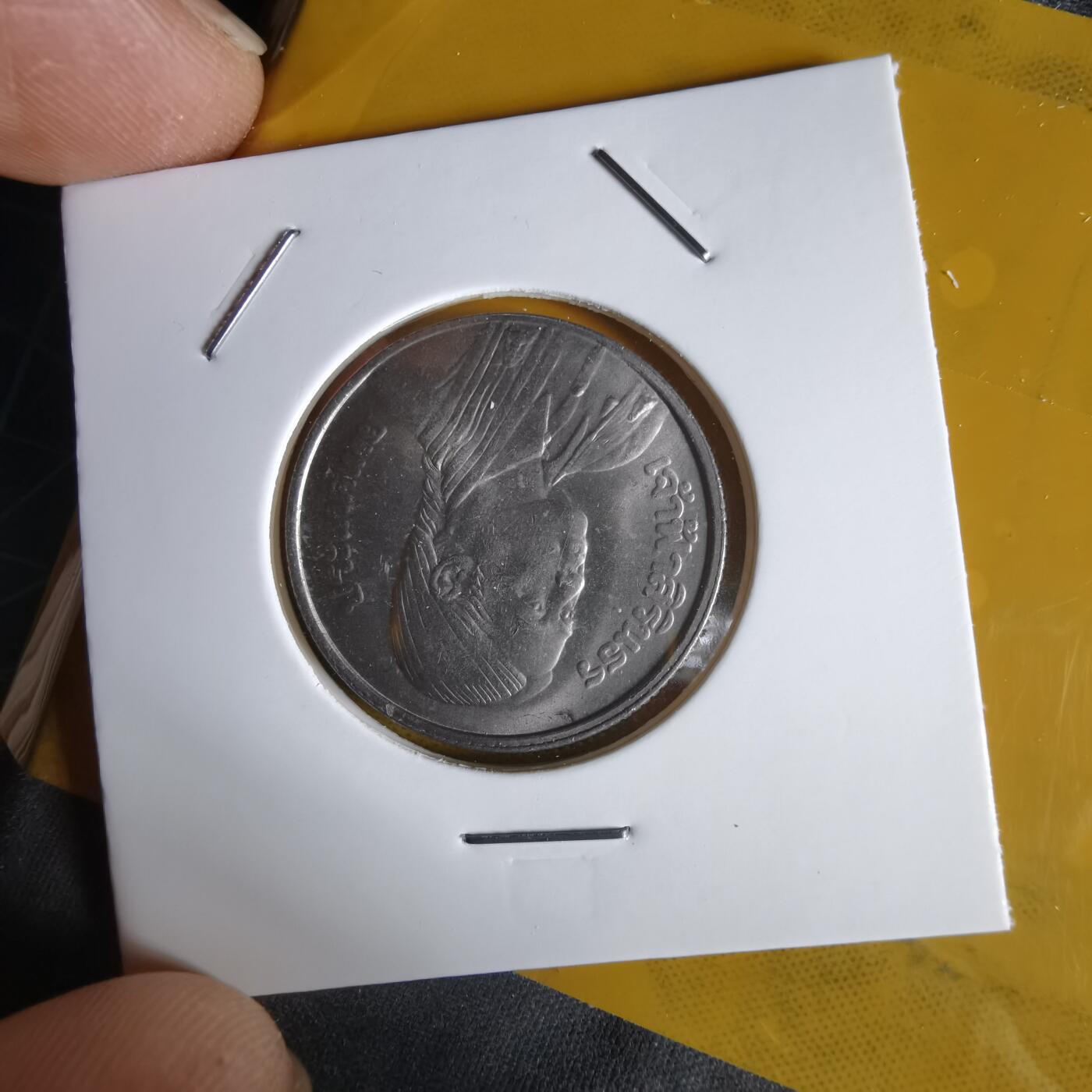 沼泽如烟--第1064场