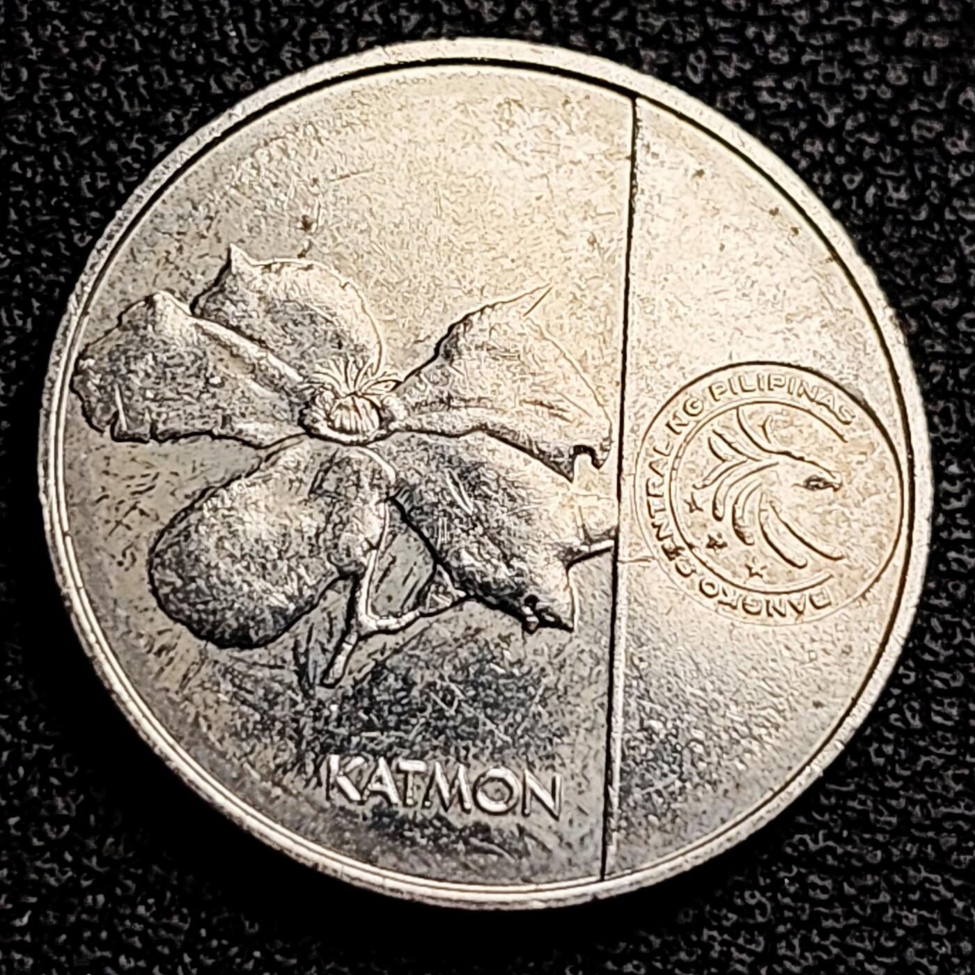 泉币菌-第231场-拍品多 请提前出价