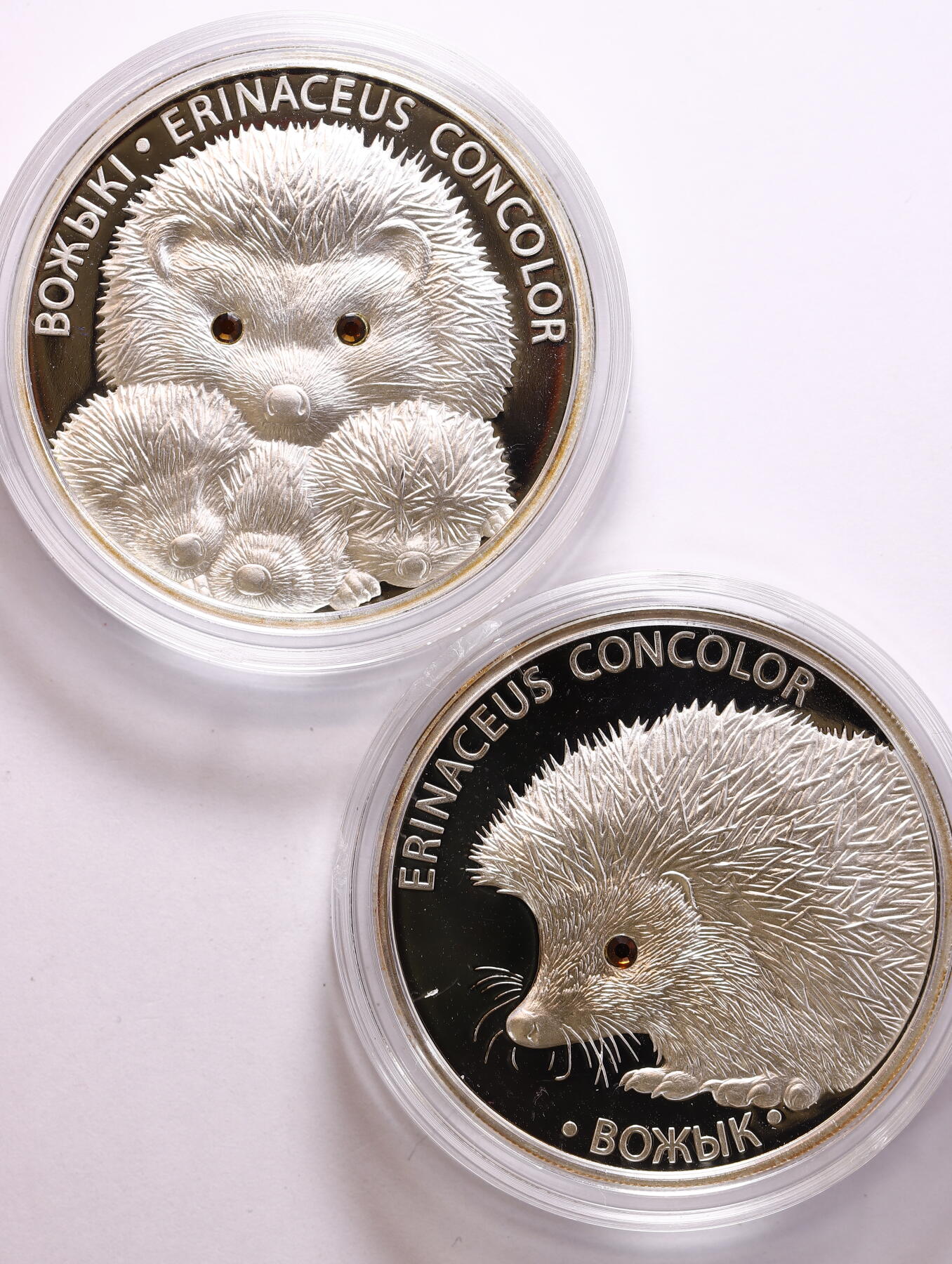 观钱 近现代机制币拍卖No.009（全场顺丰包邮，不区分偏远地区）  白俄罗斯 2011 年 “刺猬系列” 20 卢布精制银币（一对：刺猬一家亲 + 单只刺猬），925 纯银精制币，单枚重量 1 盎司（约 31.1 克 x2）共2盎司银，直径 33mm，镜面底板与喷砂浮雕工艺，眼睛为镶嵌水晶。生动可爱，白俄罗斯国家银行发行的 “野生动物保护” 系列纪念币，以欧洲刺猬为主题，是该系列中最受欢迎的品种之一，曾获得国际硬币设计奖项提名。原盒带证书