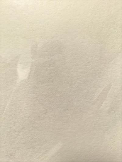 丫丫卡拍-第30期（4月24日21：00截拍） 【亲签版画】启读《沈鑫》妲己 20*30cm