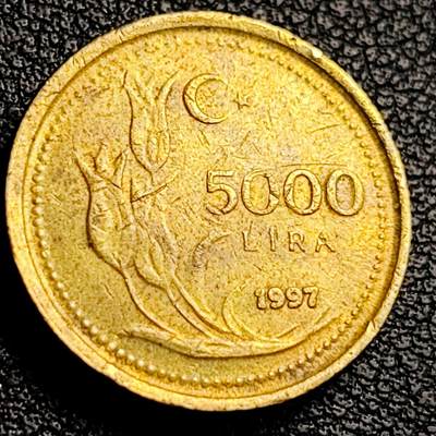 泉币菌-第231场-拍品多 请提前出价 1997 土耳其5000里拉  19.5mm 