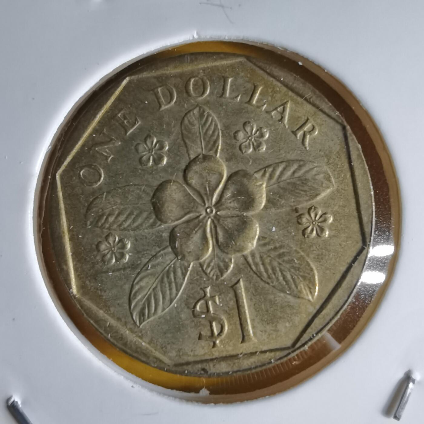 沼泽如烟--第1064场