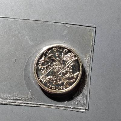 PCAI钱币  24-816  外国纸币与套币小专场 英国纪念币