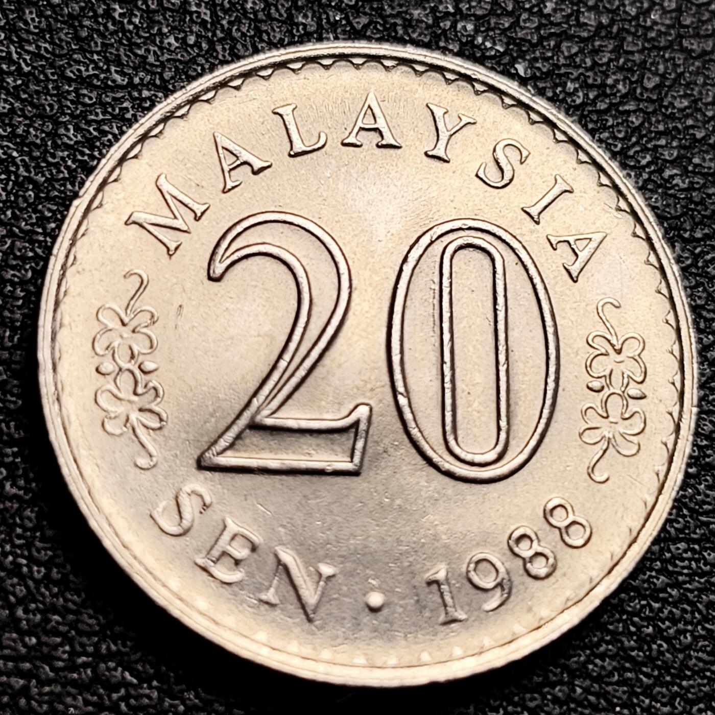 泉币菌-第231场-拍品多 请提前出价