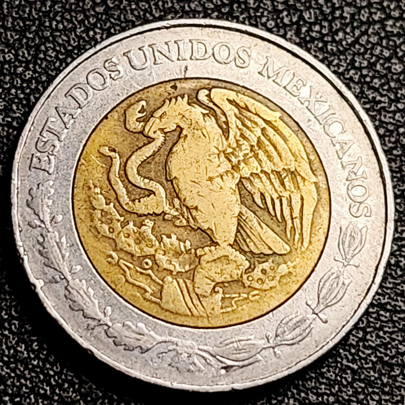 泉币菌-第231场-拍品多 请提前出价