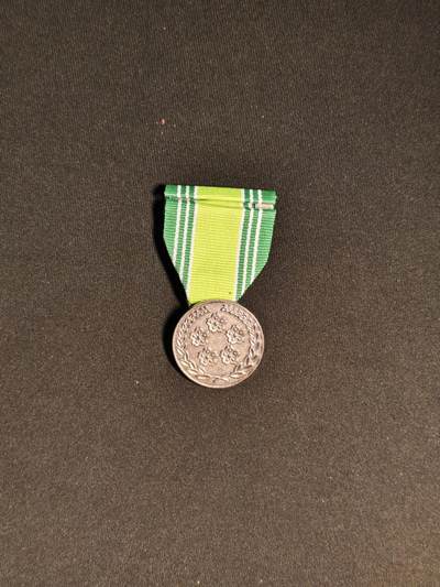 东亚欧洲主题杂货徽章勋章拍卖⑩ （五一大拍350+） 日本自卫队对领空侵犯处置20000回纪念章