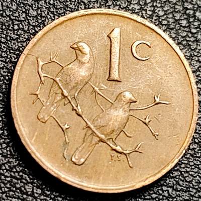 泉币菌-第231场-拍品多 请提前出价 麻雀 南非1分青铜硬币 19.0毫米3.0克 1977年 铜钱纪念币