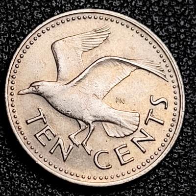 泉币菌-第231场-拍品多 请提前出价 原光 海鸥 巴巴多斯1973年 10分銅镍硬币 17.74毫米 2.29克