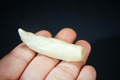 上海都达杂项专场102【全场包邮】  陶瓷仿生蔬菜筷架 5件98-395